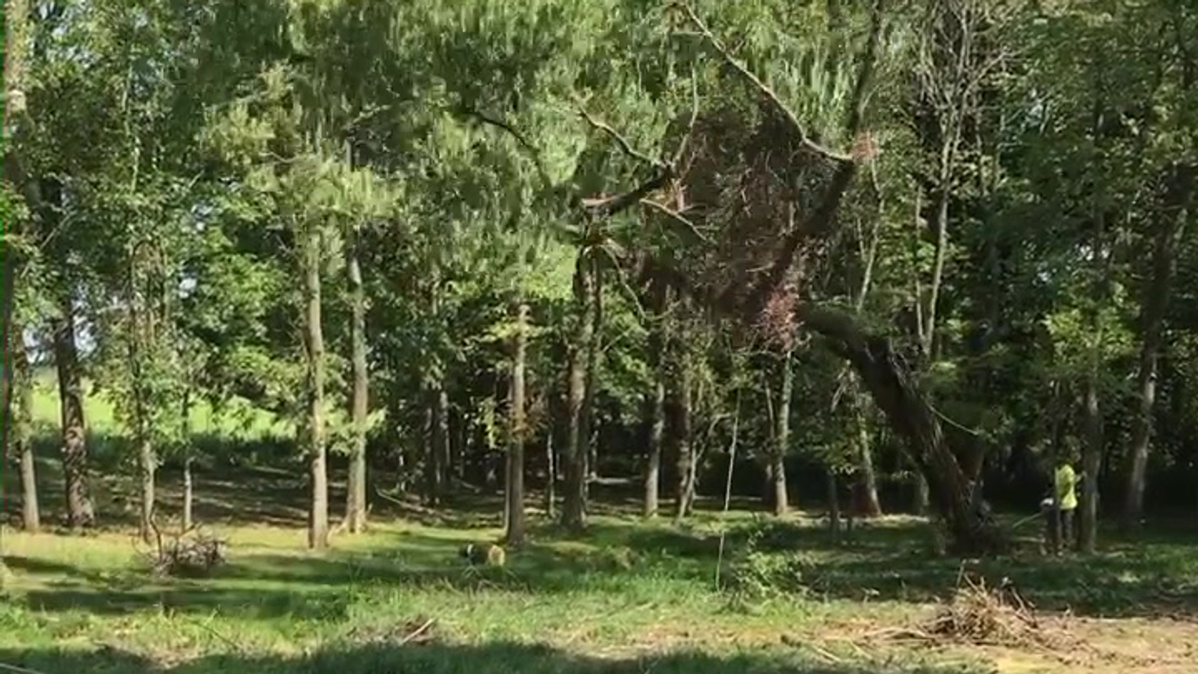 All Videos